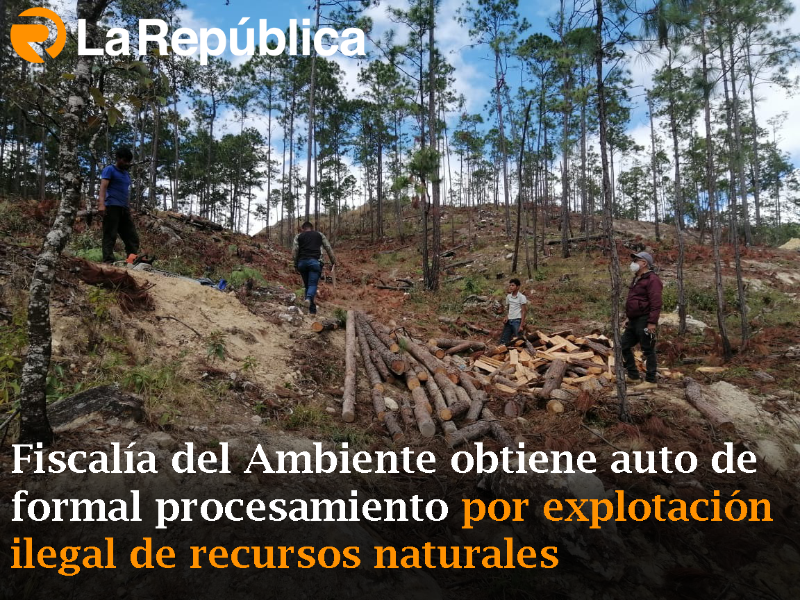 Fiscalía del Ambiente obtiene auto de formal procesamiento por explotación ilegal de recursos naturales - Cover Image